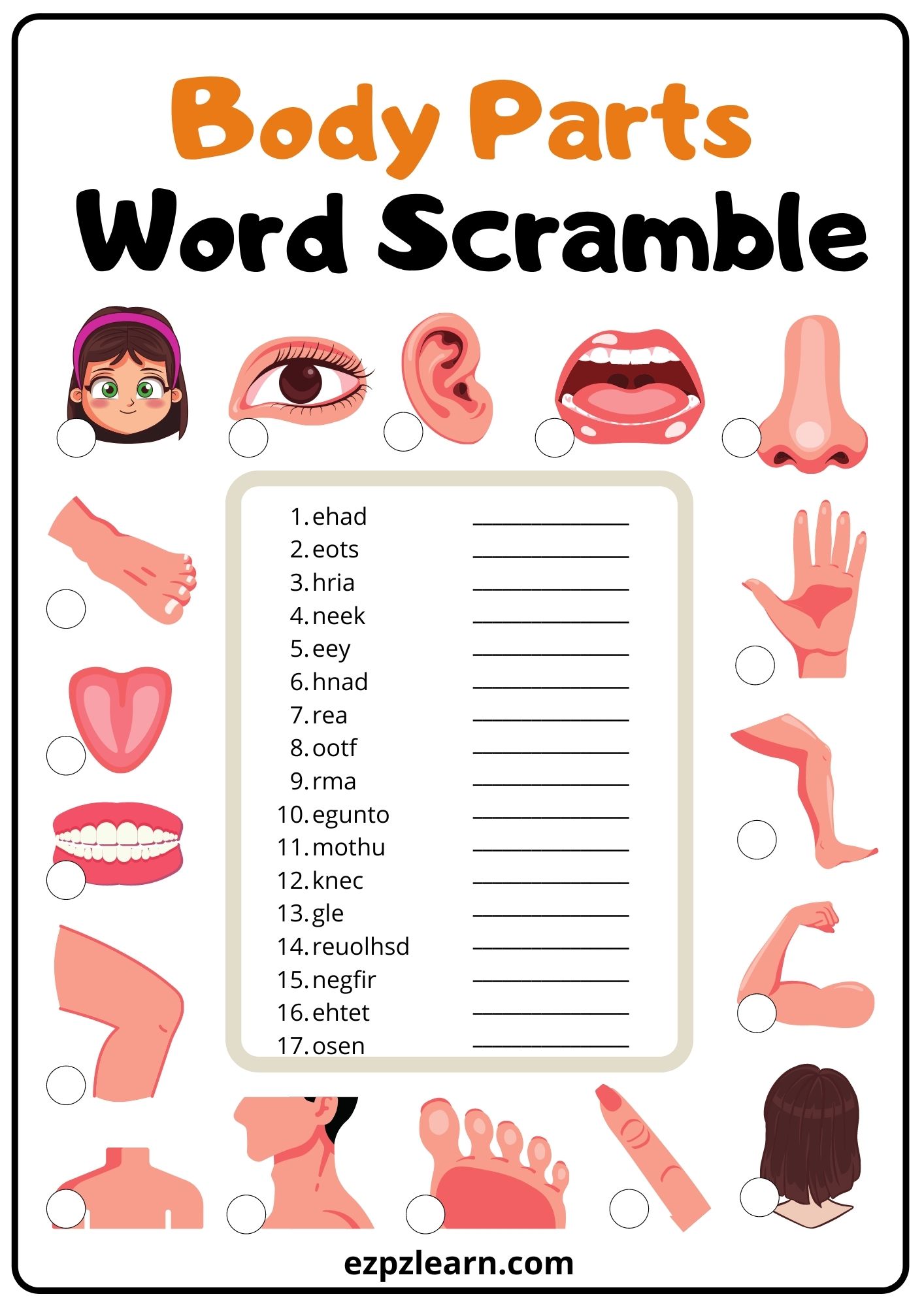Body Word Scramble 2
